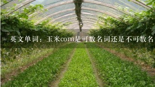 英文单词：玉米corn是可数名词还是不可数名词