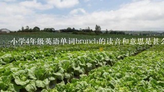 小学4年级英语单词brunch的读音和意思是甚么？