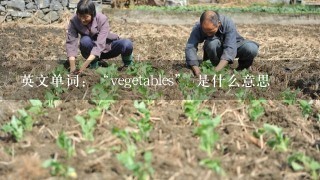 英文单词：“vegetables” 是什么意思