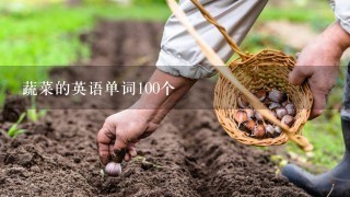 蔬菜的英语单词100个