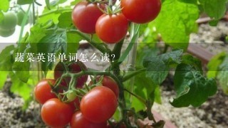 蔬菜英语单词怎么读?