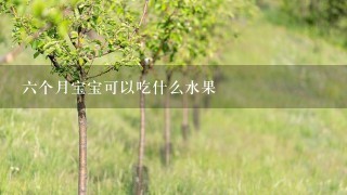 6个月宝宝可以吃什么水果