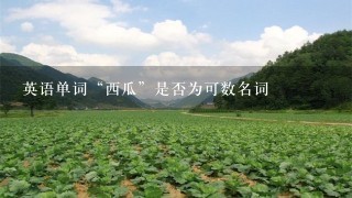 英语单词“西瓜”是否为可数名词