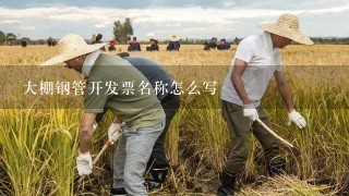 大棚钢管开发票名称怎么写