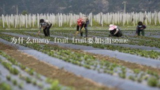 为什么many fruit fruit要加s而some