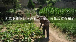 香草类蔬菜是指含有()物质、可作蔬菜食用的1年生或多年生草本植物群。具有1定()、()、疏压助眠、安抚情绪及料理调味等作...