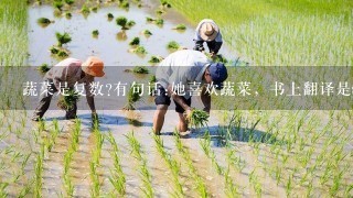 蔬菜是复数?有句话:她喜欢蔬菜，书上翻译是she likes vegetables。蔬菜数的清?