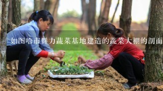 如图哈市群力蔬菜基地建造的蔬菜大棚的剖面图是圆拱形，已知半径OC⊥AB于D，若AB=16m，OD=6m，则拱高CD的长为______m．