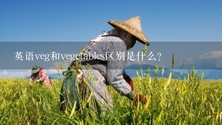 英语veg和vegetables区别是什么？