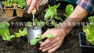 9个月的宝宝缺锌要吃什么呢？能给介绍个钙铁锌同补的食谱吗？