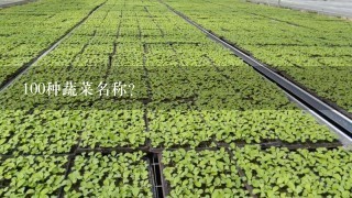 100种蔬菜名称？