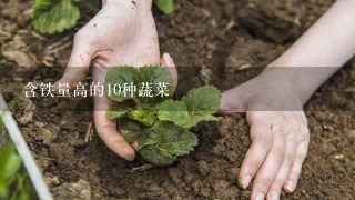 含铁量高的10种蔬菜