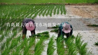 青岛最大的农贸市场批发市场