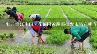 牡丹江江南国际花都附近蔬菜批发市场在哪有多远?