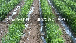 农村蔬菜种植时，不用撒农药是有哪些呀？