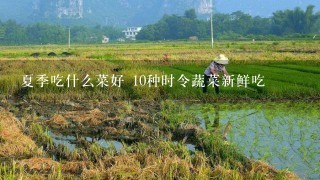 夏季吃什么菜好 10种时令蔬菜新鲜吃