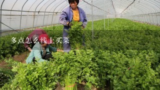 多点怎么线上买菜