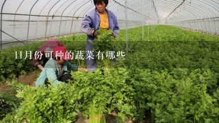 11月份可种的蔬菜有哪些