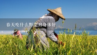 春天吃什么野菜对身体好