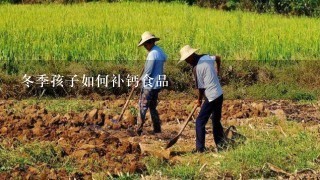 冬季孩子如何补钙食品