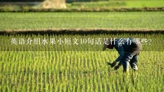 英语介绍水果小短文10句话是什么有哪些？