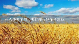 什么烫发不用每天打理也能保持蓬松