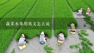 蔬菜水果用英文怎么说