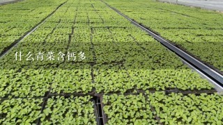 什么青菜含钙多