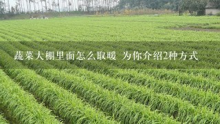 蔬菜大棚里面怎么取暖 为你介绍2种方式