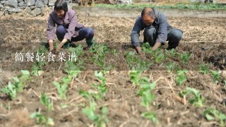 简餐轻食菜谱