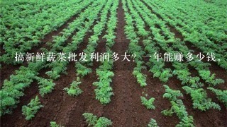 搞新鲜蔬菜批发利润多大？1年能赚多少钱。货源去哪