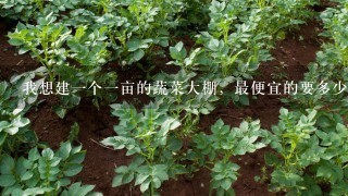 我想建1个1亩的蔬菜大棚，最便宜的要多少钱？