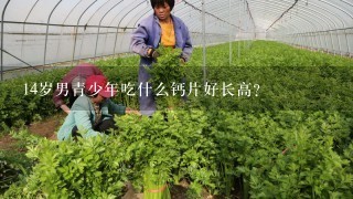 14岁男青少年吃什么钙片好长高？