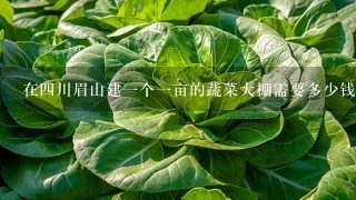 在4川眉山建1个1亩的蔬菜大棚需要多少钱？