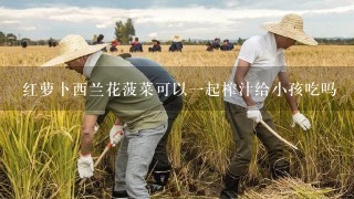 红萝卜西兰花菠菜可以1起榨汁给小孩吃吗