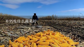 补钙吃什么蔬菜好