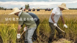 绿叶菜类蔬菜有哪些