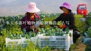 冬天不落叶植物的检测报告怎么写