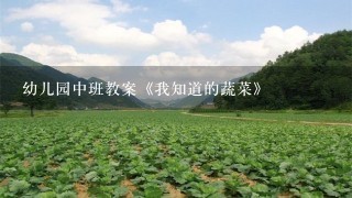 幼儿园中班教案《我知道的蔬菜》