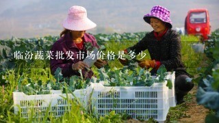 临汾蔬菜批发市场价格是多少