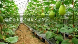 蔬菜无土栽培新技术是什么？