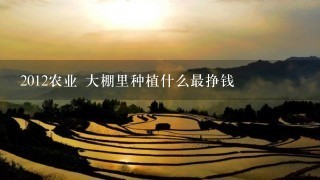 2012农业 大棚里种植什么最挣钱