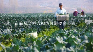 建1亩简易塑料大棚造价需要多少钱