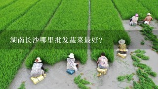 湖南长沙哪里批发蔬菜最好？