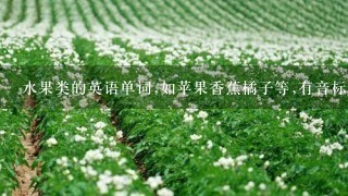 水果类的英语单词,如苹果香蕉橘子等,有音标和中文示