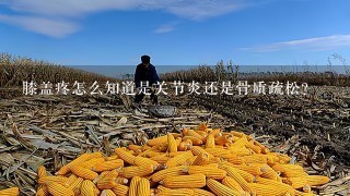 膝盖疼怎么知道是关节炎还是骨质疏松？