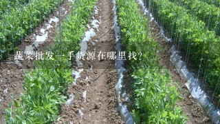 蔬菜批发1手货源在哪里找？