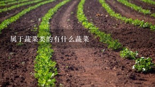 属于蔬菜类的有什么蔬菜