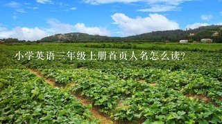 小学英语3年级上册首页人名怎么读？