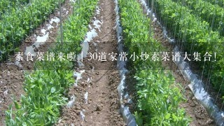 素食菜谱来啦｜30道家常小炒素菜谱大集合！再也不怕